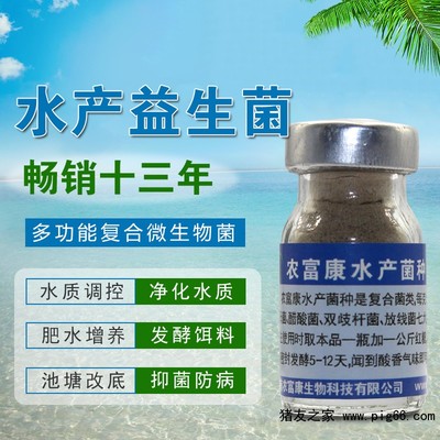 养养虾用的生物有益菌从哪里购买?