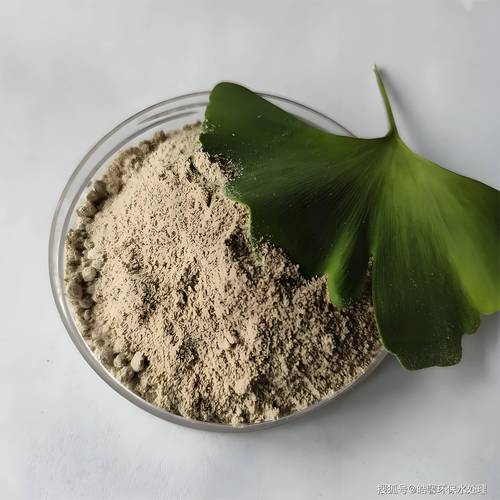 微生物菌种在废水处理中的高效降解机制