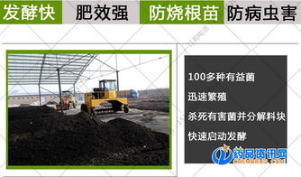 高效发酵有机肥 牛粪羊粪生物菌种选择与应用指南